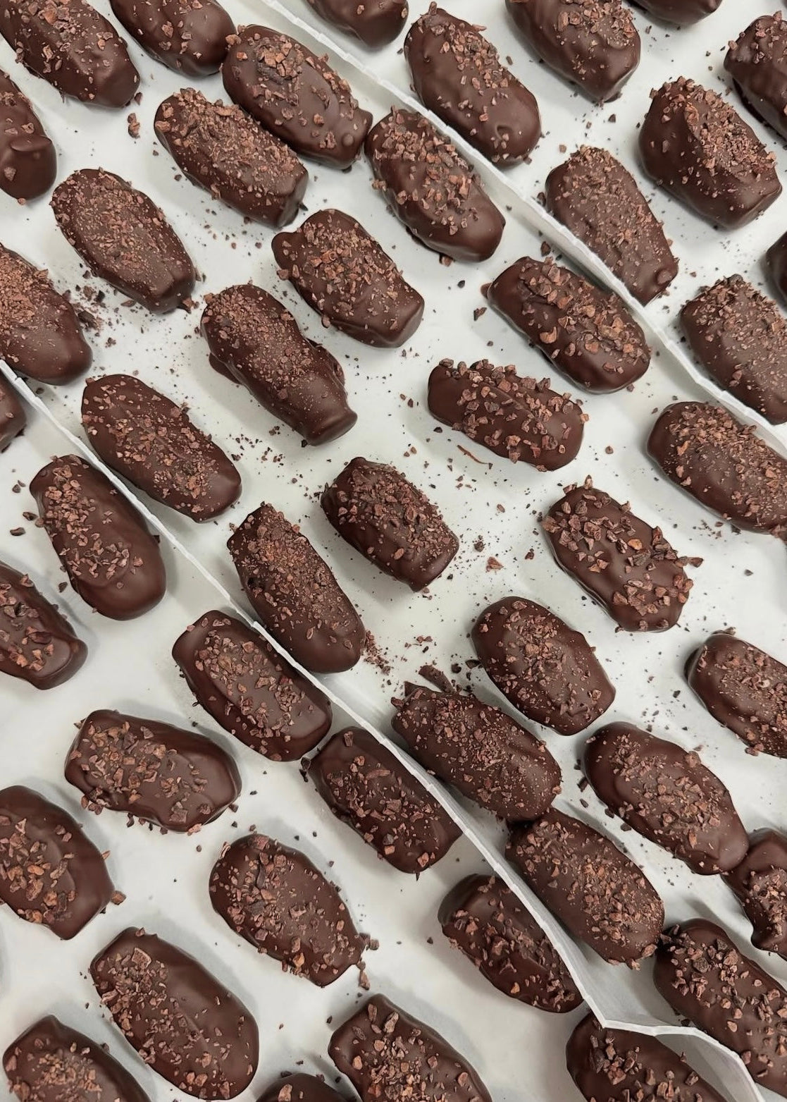 Chocolate truffles in a mold on a white background