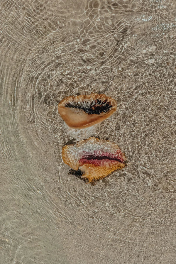 Two pieces of bread with jam on a textured surface
