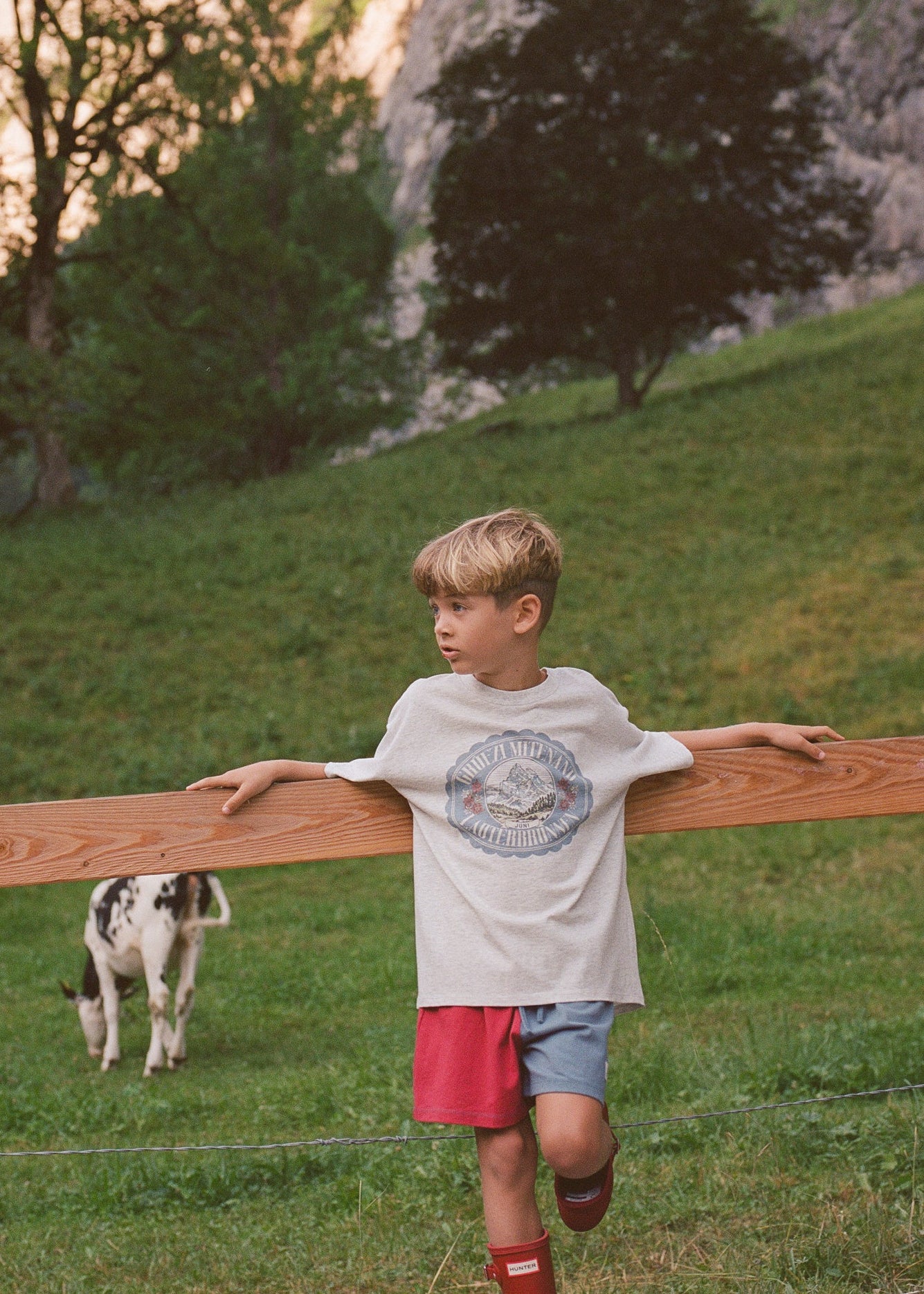 A young boy wearing a white graphic t-shirt, red shorts, and red socks stands behind a wooden fence in a grassy field, looking off-camera. A black and white cow is visible in the background on a green hill with trees and a rocky cliff.