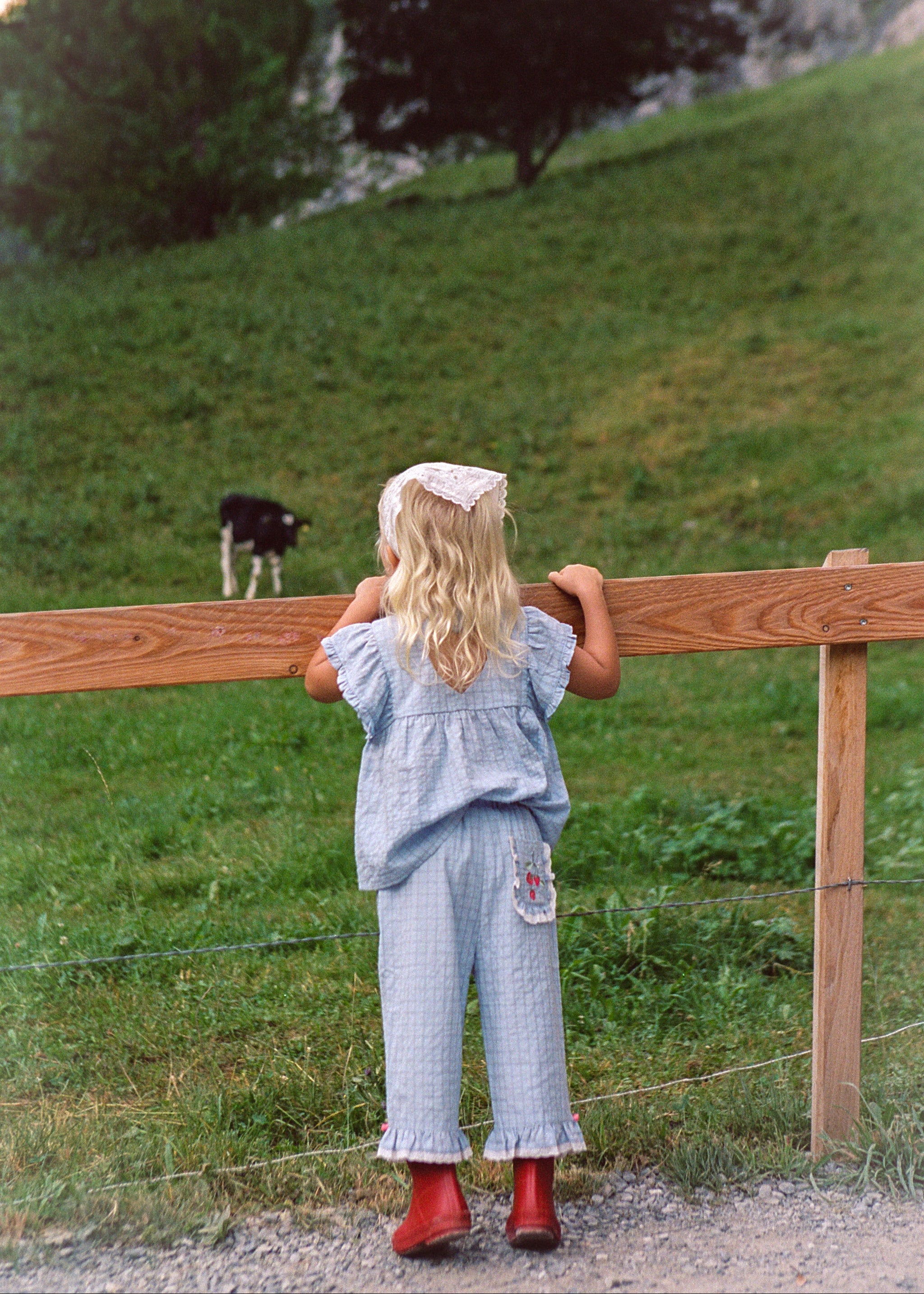 A young girl with blonde hair, wearing a light blue patterned top and pants with red boots, stands behind a wooden fence looking at a small black and white calf on a grassy hillside.