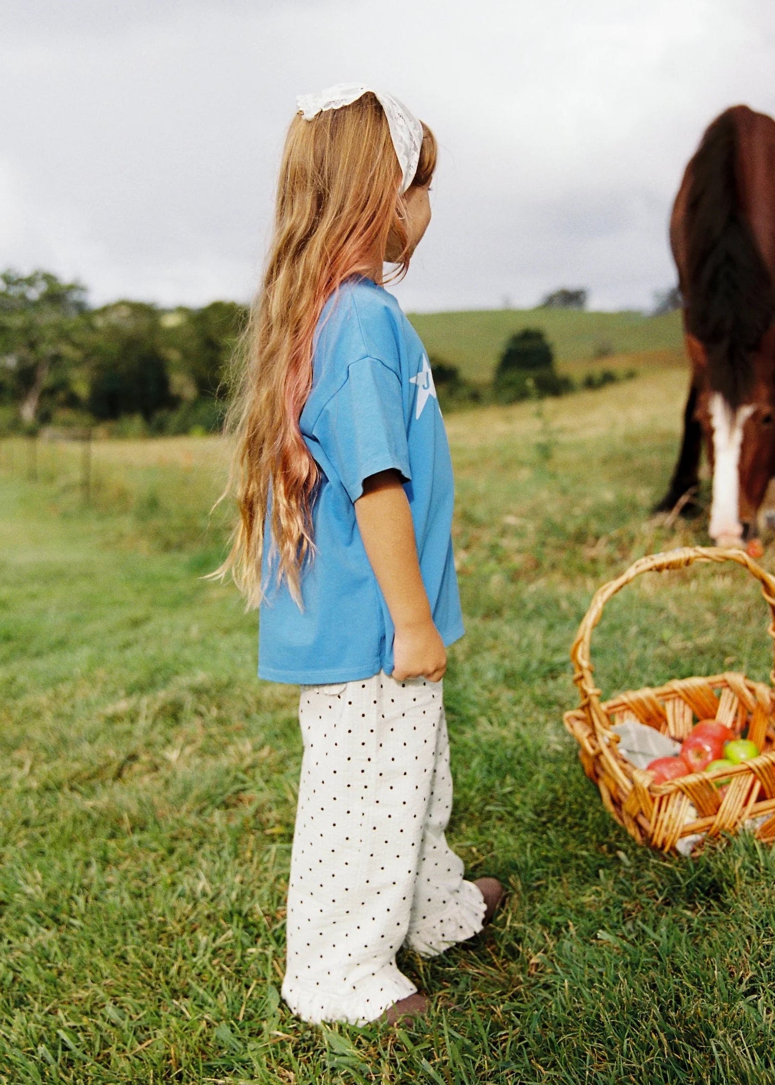 Girl standing in a field with a horse and a basket of apples.